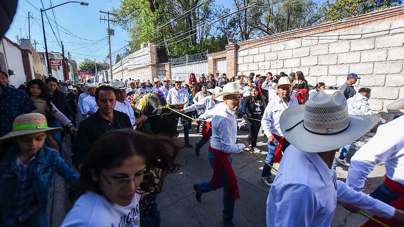 PASEO DEL BUEY